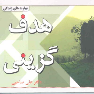 هدف گزینی